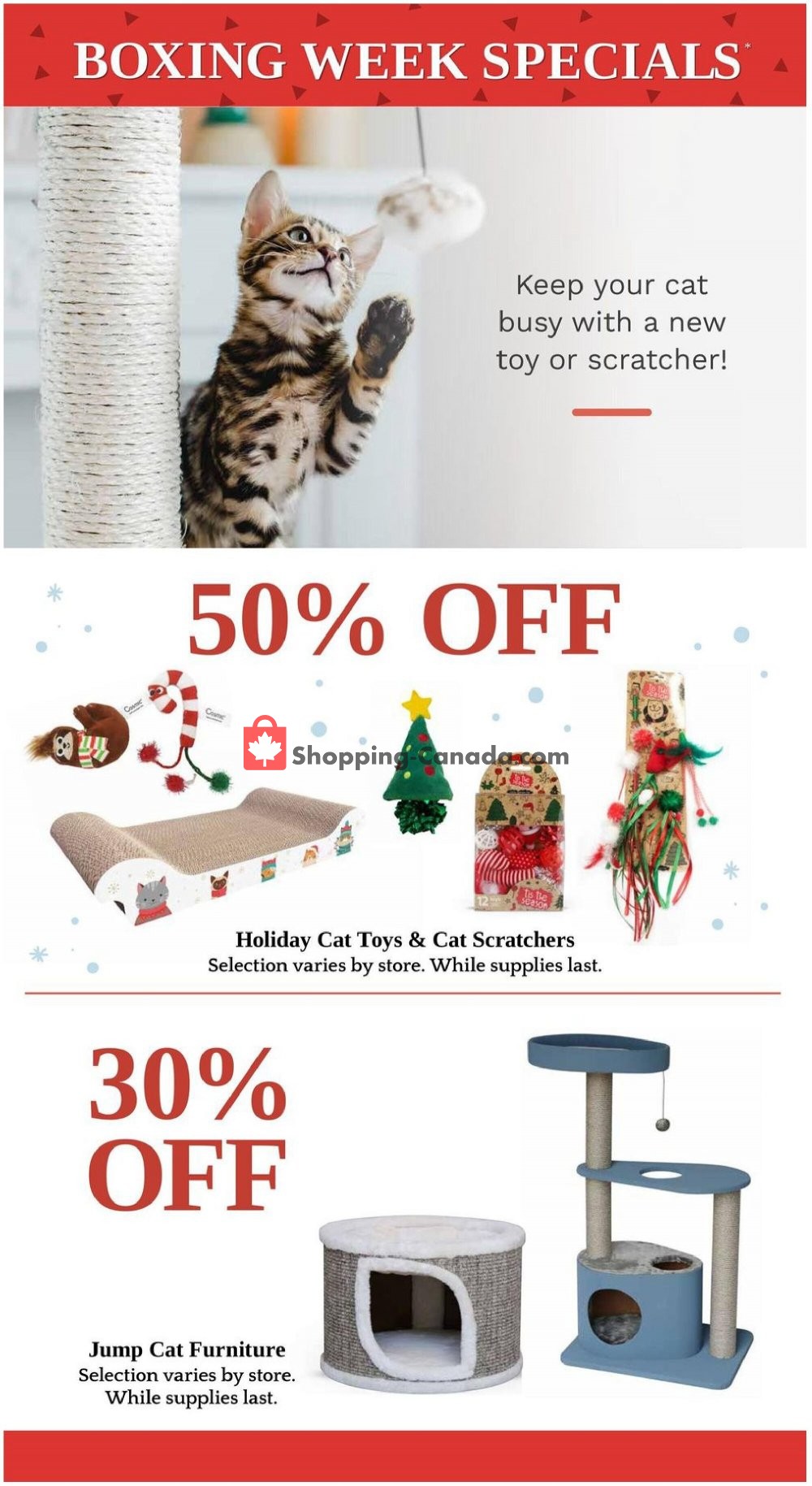 Pet Valu flyer from Saturday December 26, 2020 to Wednesday January 6, 2021 - page 13
