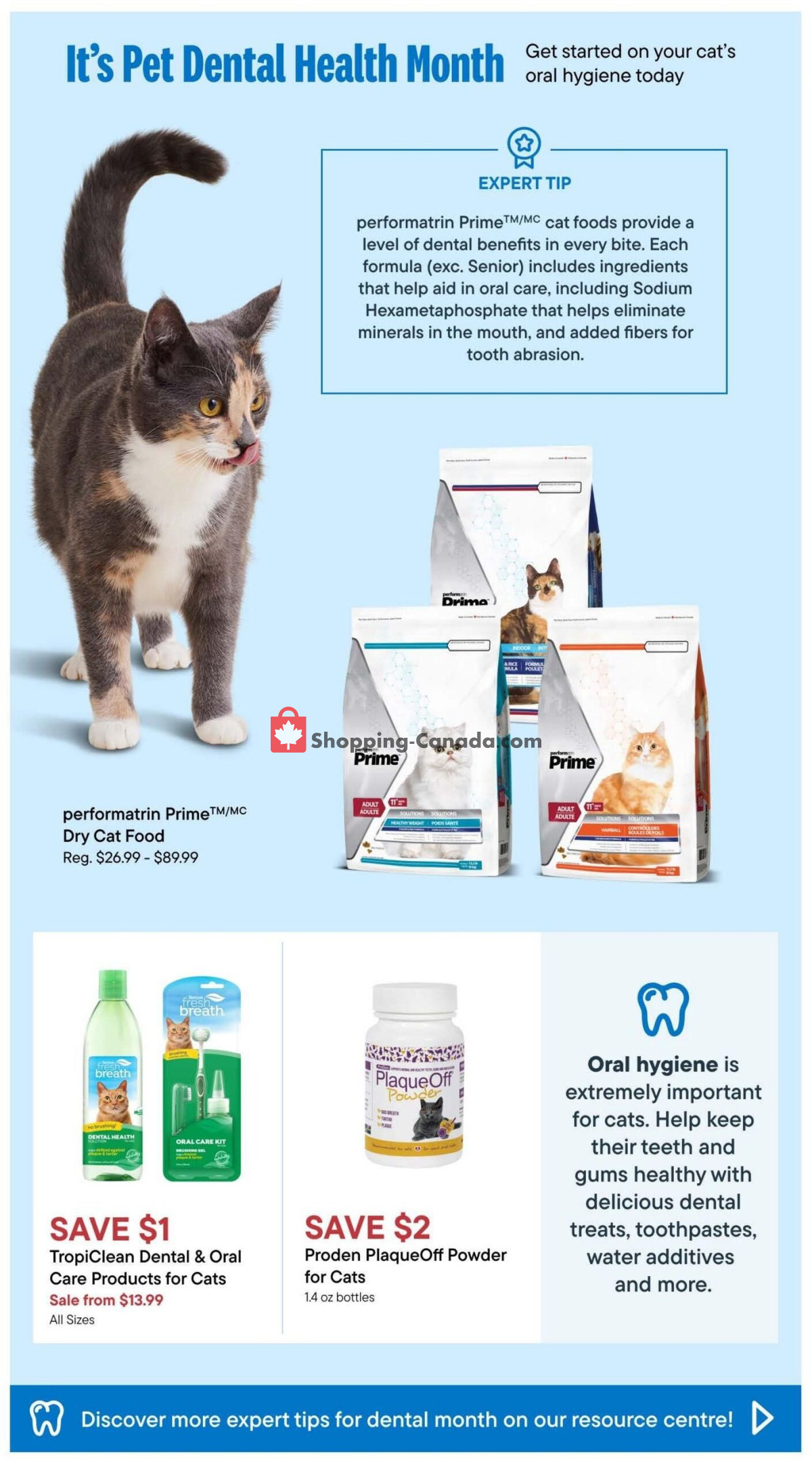 Pet Valu flyer from Thursday January 25, 2024 to Wednesday February 28, 2024 - page 11