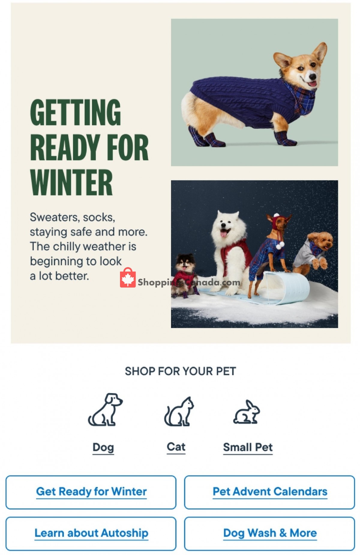 Pet Valu flyer from Thursday November 10, 2022 to Wednesday November 23, 2022 - page 1