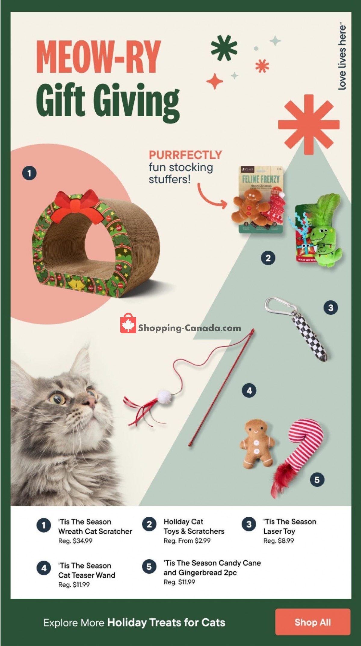 Pet Valu flyer from Thursday November 10, 2022 to Wednesday November 23, 2022 - page 7