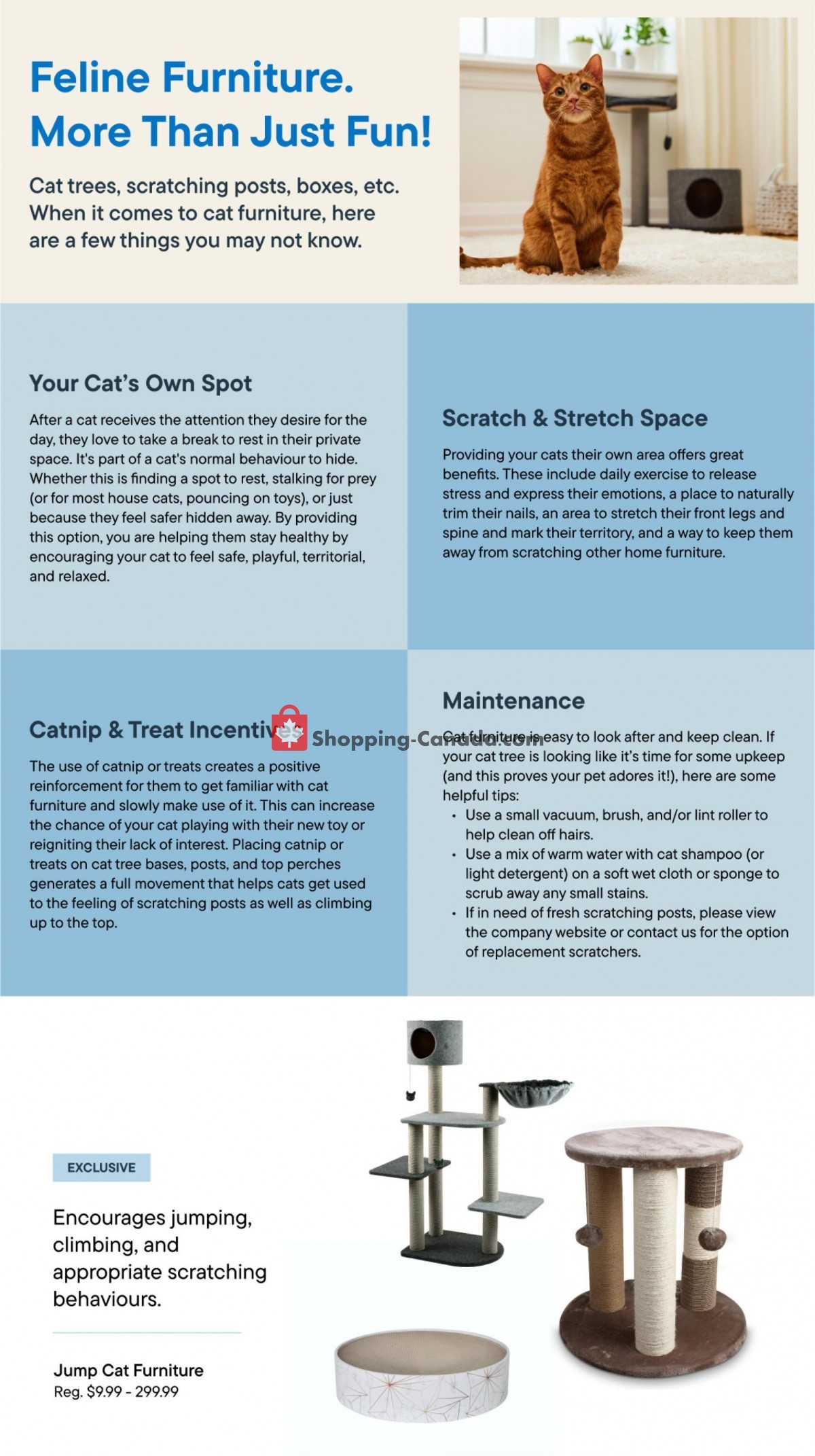 Pet Valu flyer from Thursday June 29, 2023 to Wednesday July 26, 2023 - page 20