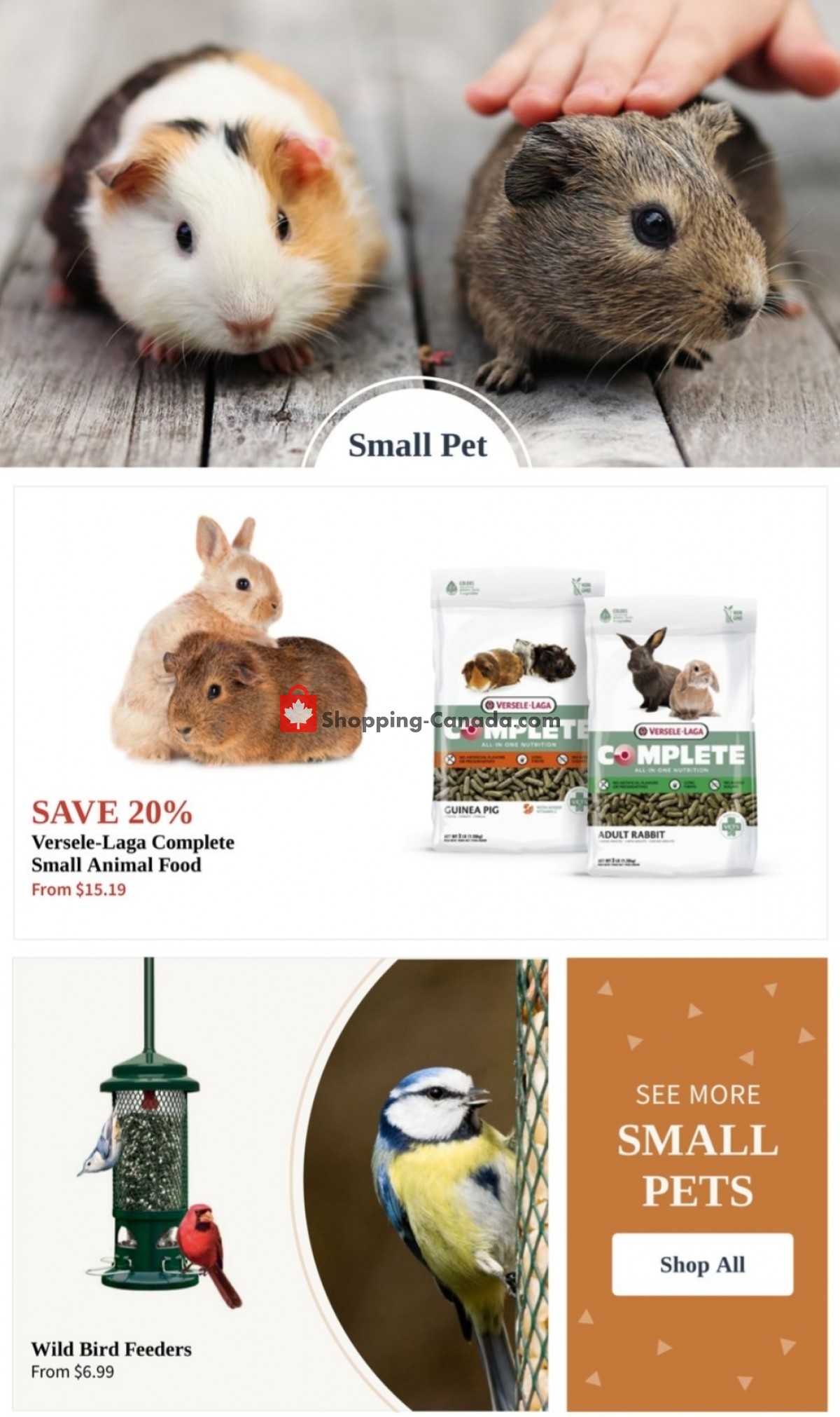 Pet Valu flyer from Thursday October 7, 2021 to Wednesday October 20, 2021 - page 13