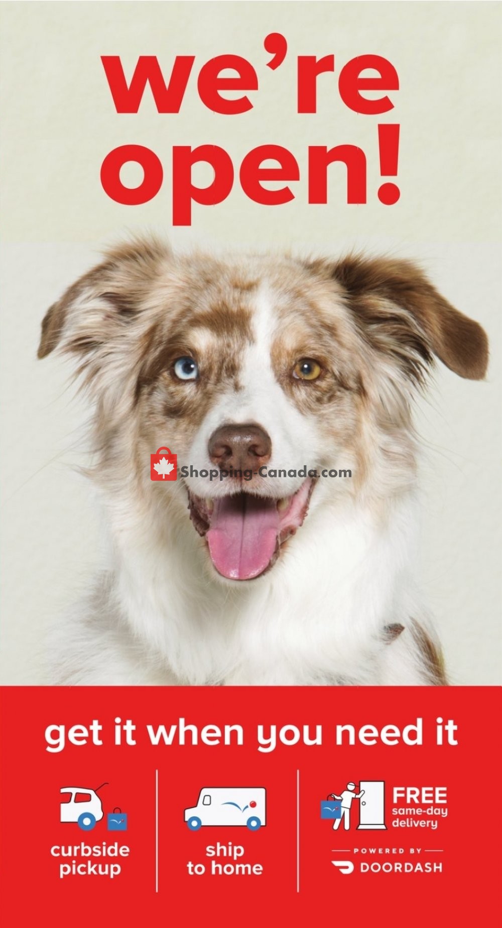 PetSmart Canada, flyer (Boxing Day Deals) December 23 December 27