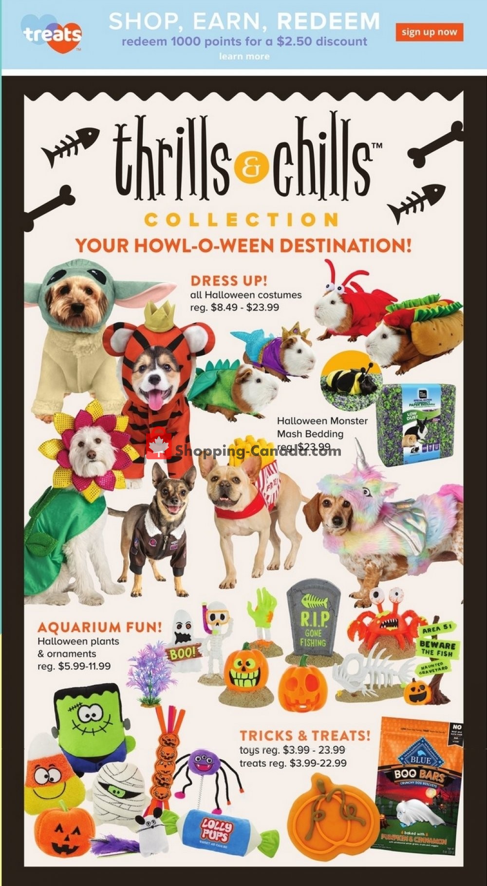 petsmart pumpkin bed