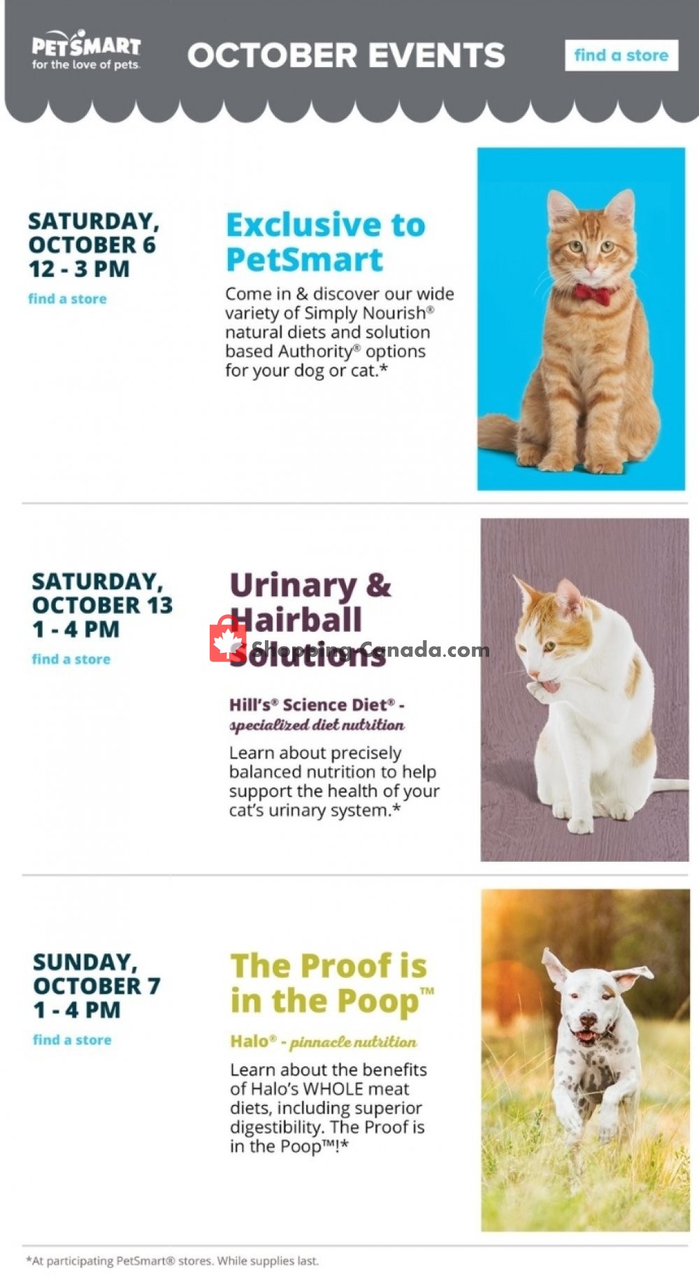 PetSmart flyer from Monday October 1, 2018 to Sunday October 28, 2018 - page 31