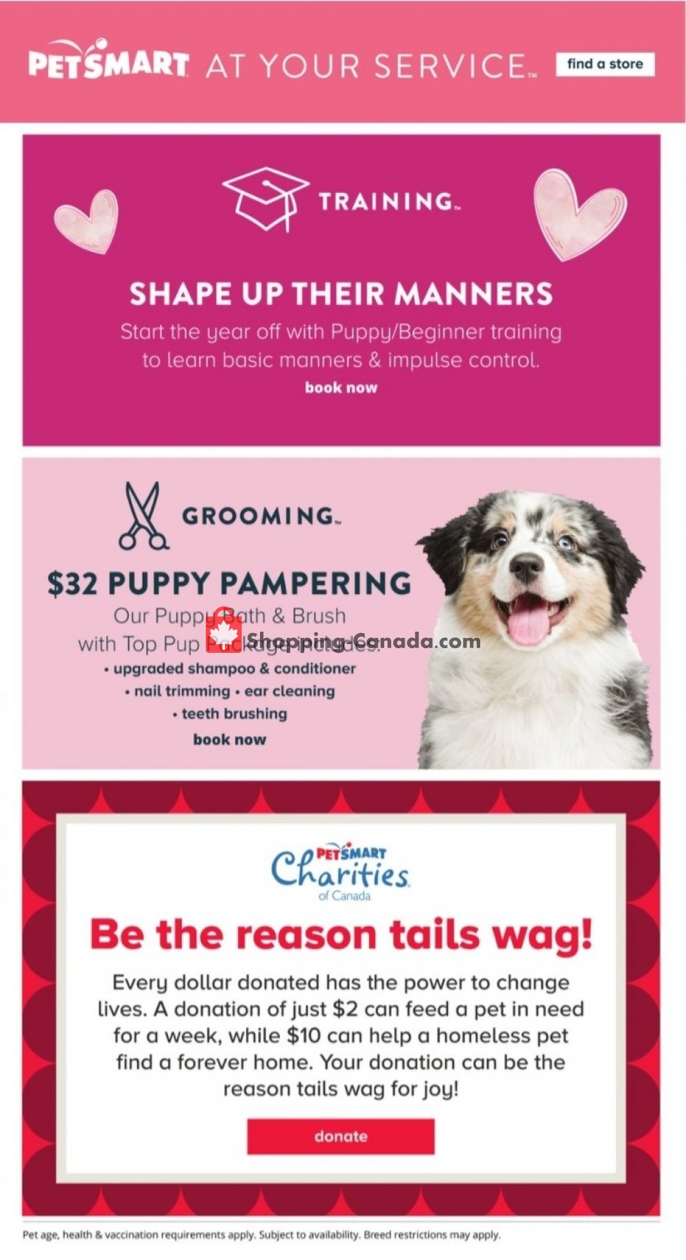 petsmart puppy bath