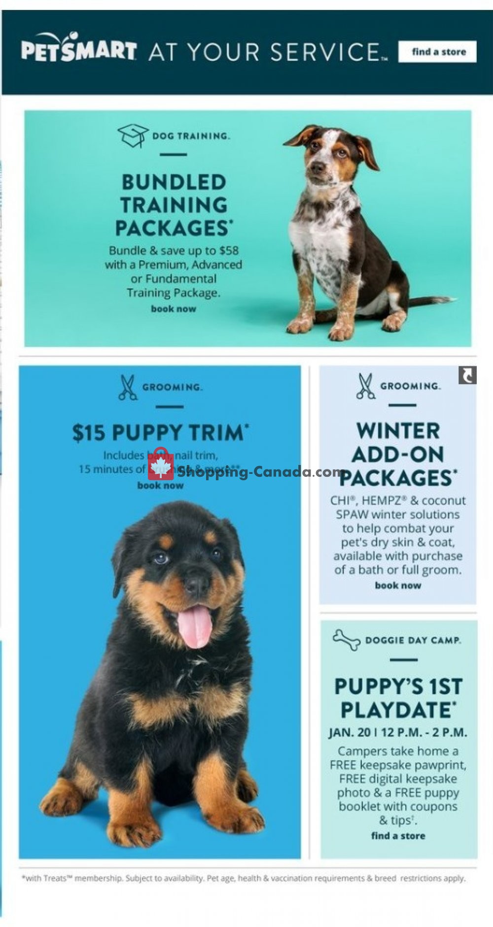 PetSmart flyer from Monday December 31, 2018 to Sunday February 3, 2019 - page 22