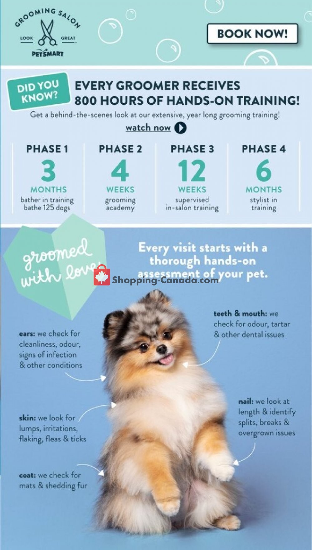PetSmart flyer from Friday June 19, 2020 to Friday August 14, 2020 - page 2