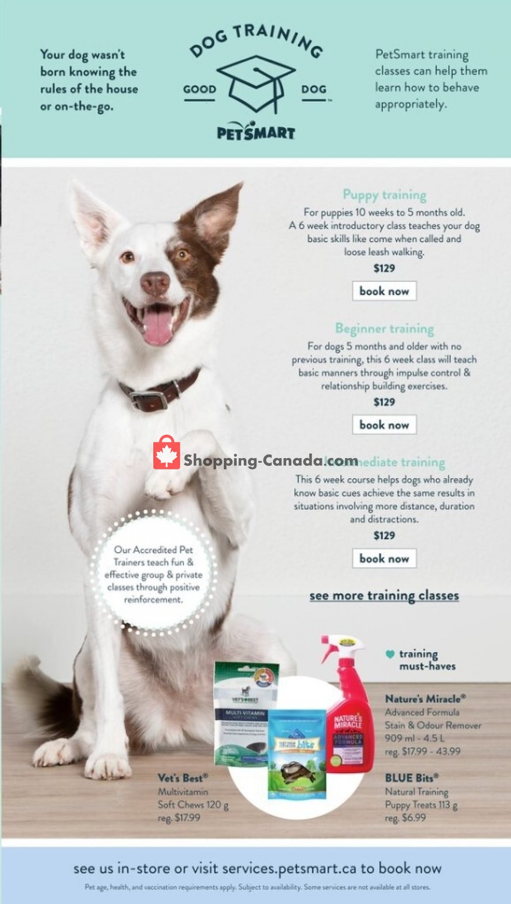 PetSmart flyer from Friday June 19, 2020 to Friday August 14, 2020 - page 6