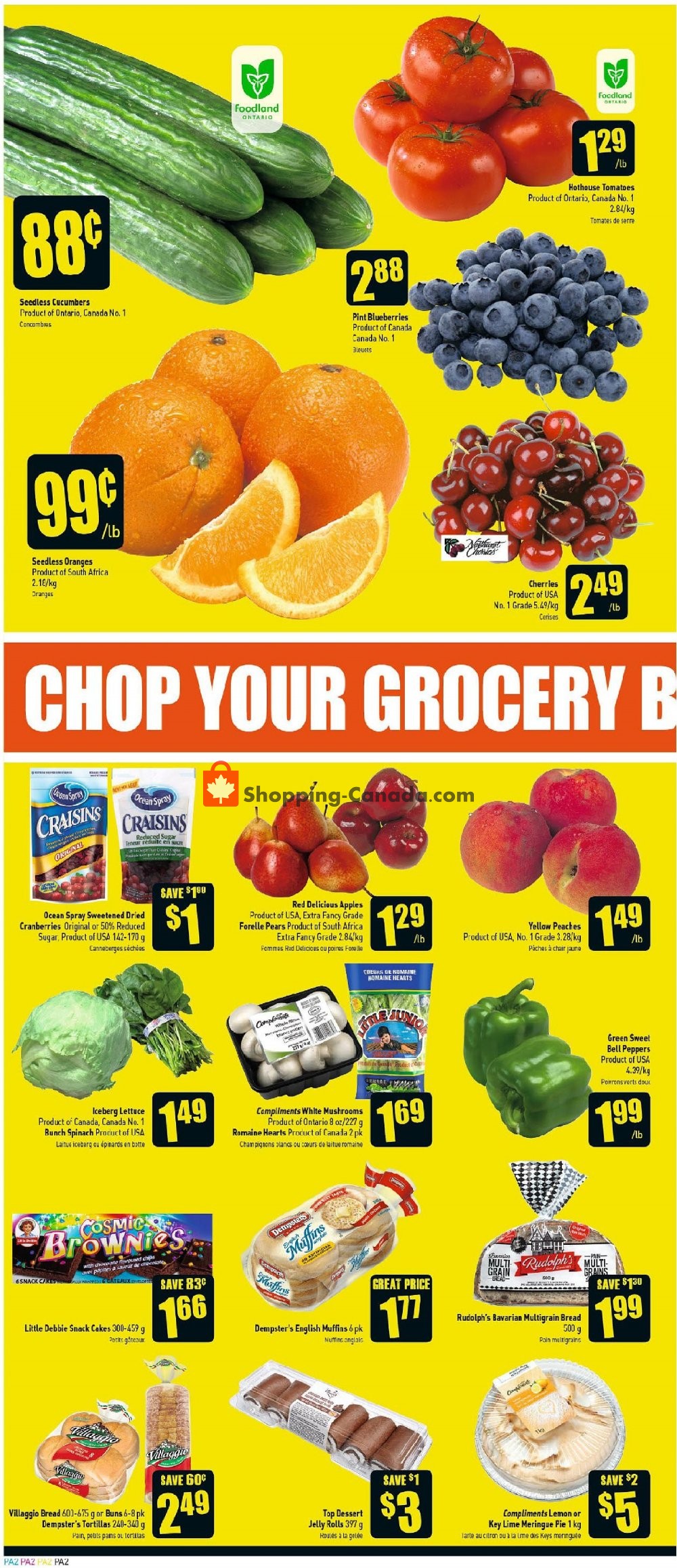 Price Chopper flyer from Thursday July 11, 2019 to Wednesday July 17, 2019 - page 2