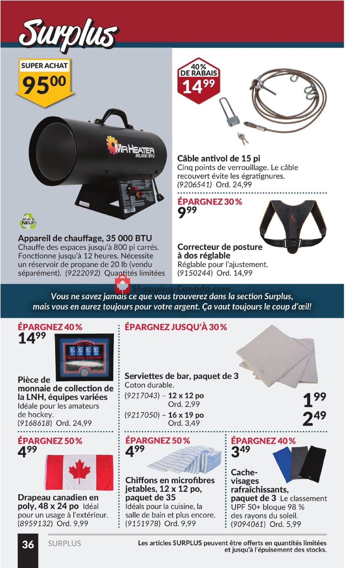 Princess Auto flyer from Tuesday February 13, 2024 to Sunday February 25, 2024 - page 41