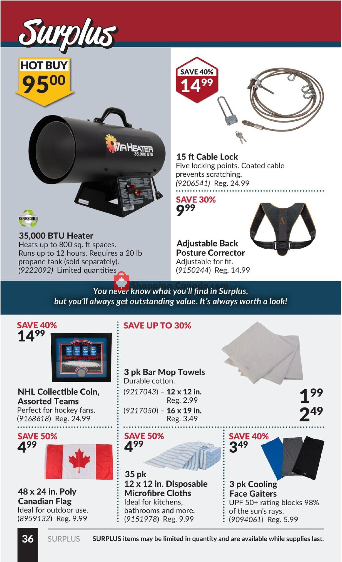Princess Auto flyer from Tuesday February 13, 2024 to Sunday February 25, 2024 - page 41