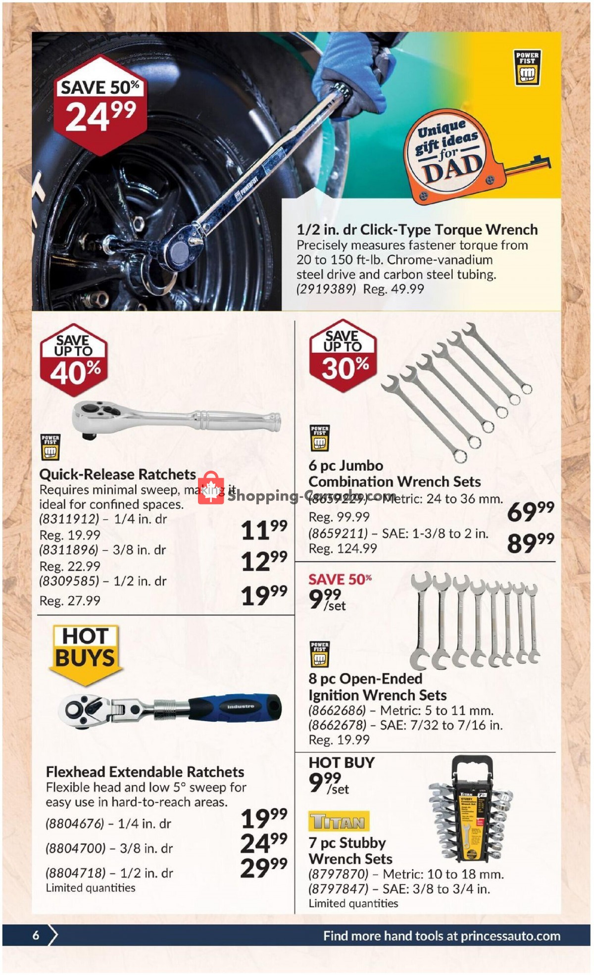 Princess Auto flyer from Tuesday June 8, 2021 to Sunday June 20, 2021 - page 10