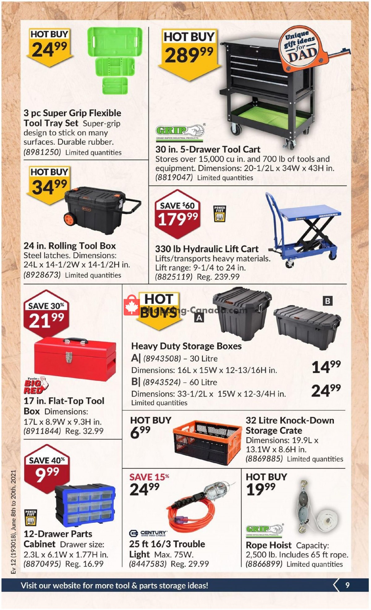 Princess Auto flyer from Tuesday June 8, 2021 to Sunday June 20, 2021 - page 13