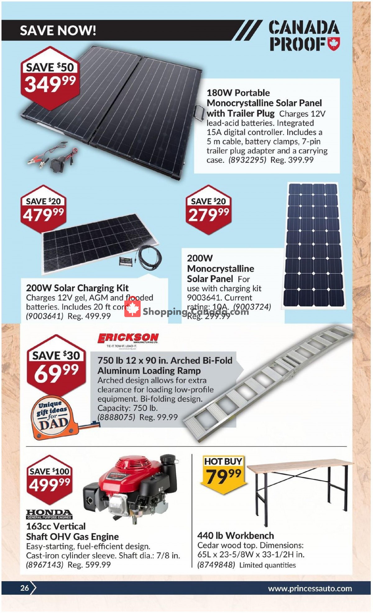 Princess Auto flyer from Tuesday June 8, 2021 to Sunday June 20, 2021 - page 30