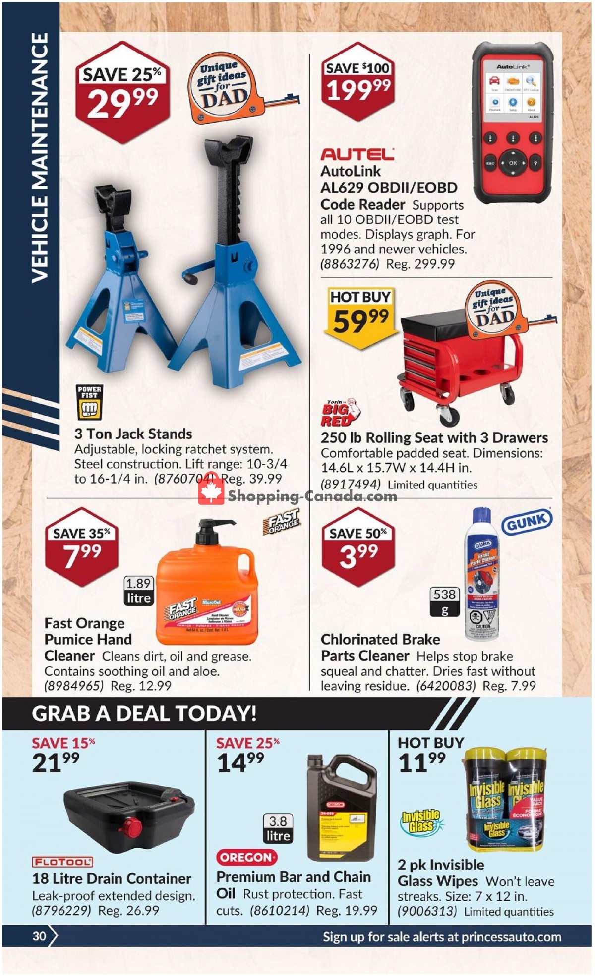 Princess Auto flyer from Tuesday June 8, 2021 to Sunday June 20, 2021 - page 34
