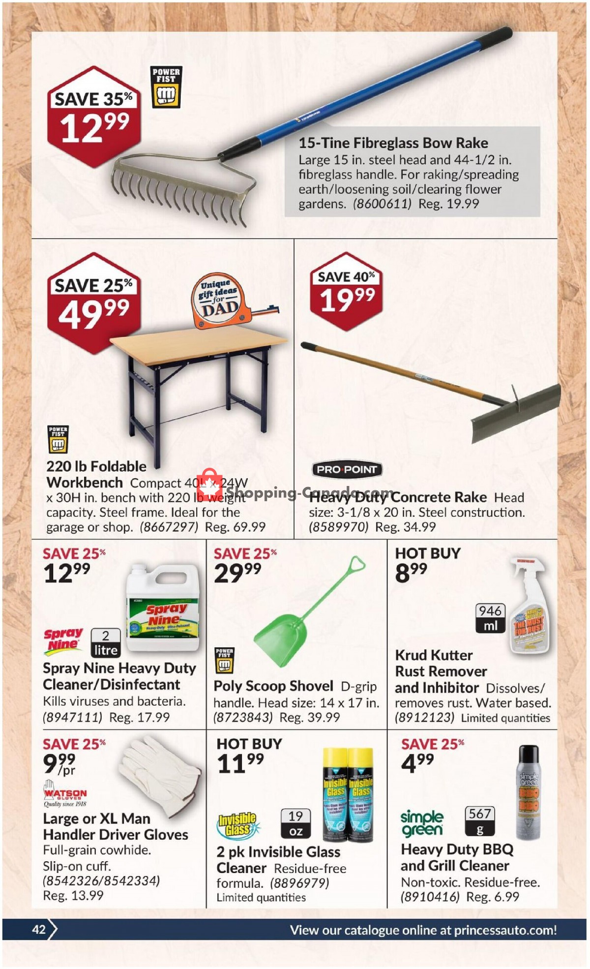 Princess Auto flyer from Tuesday June 8, 2021 to Sunday June 20, 2021 - page 46