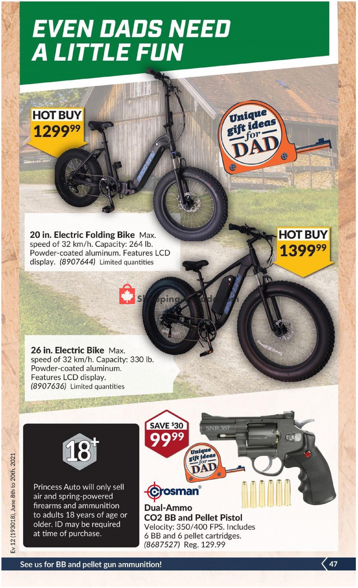 Princess Auto flyer from Tuesday June 8, 2021 to Sunday June 20, 2021 - page 51