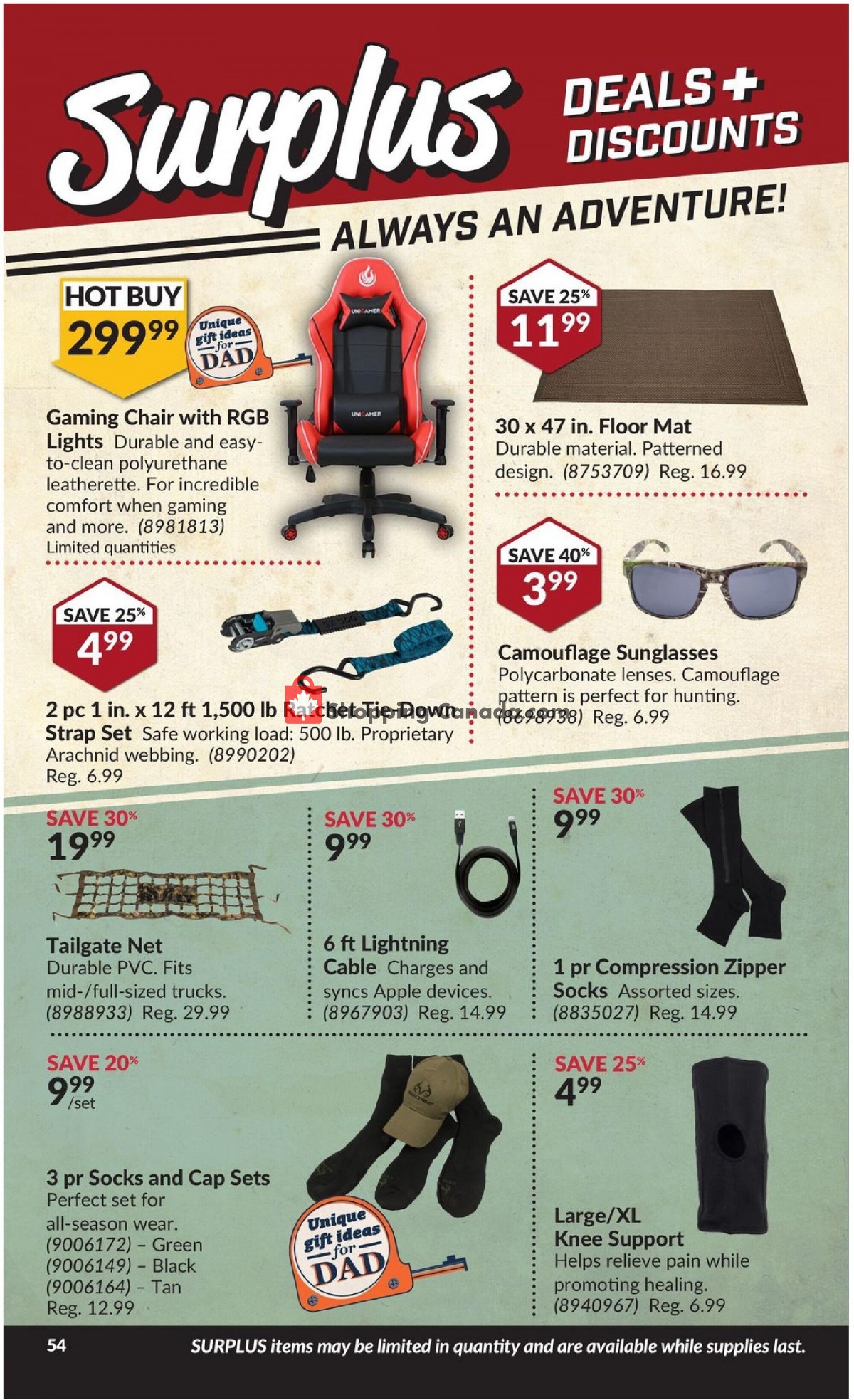 Princess Auto flyer from Tuesday June 8, 2021 to Sunday June 20, 2021 - page 58
