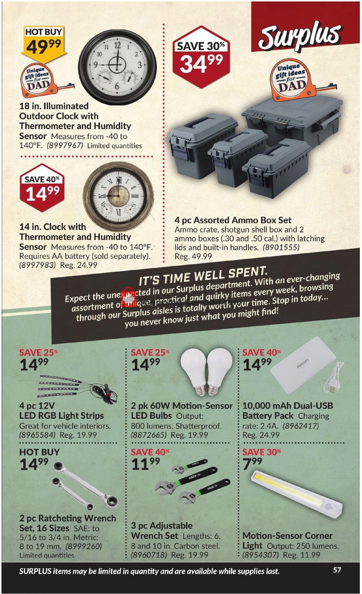 Princess Auto flyer from Tuesday June 8, 2021 to Sunday June 20, 2021 - page 61