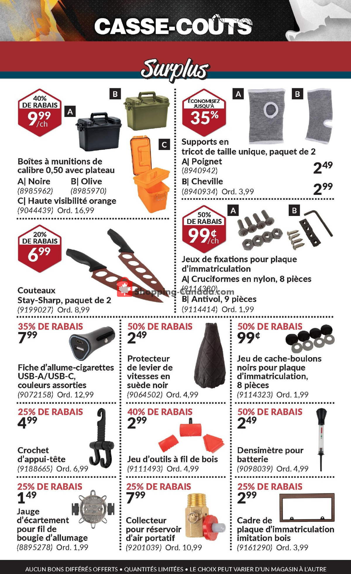 Princess Auto flyer from Thursday February 1, 2024 to Thursday February 29, 2024 - page 10