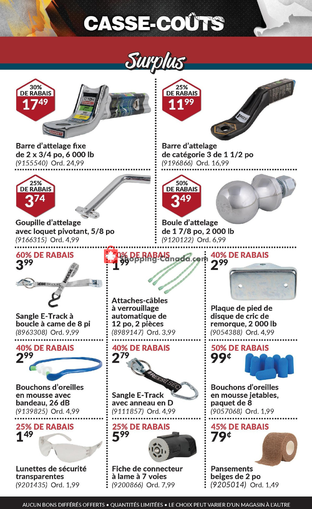 Princess Auto flyer from Thursday February 1, 2024 to Thursday February 29, 2024 - page 13