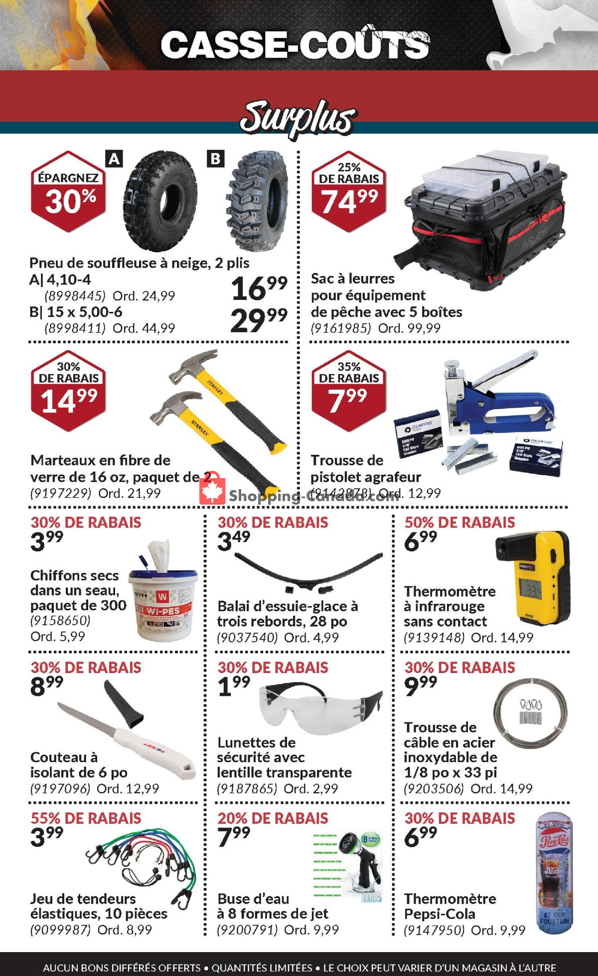 Princess Auto flyer from Thursday February 1, 2024 to Thursday February 29, 2024 - page 19