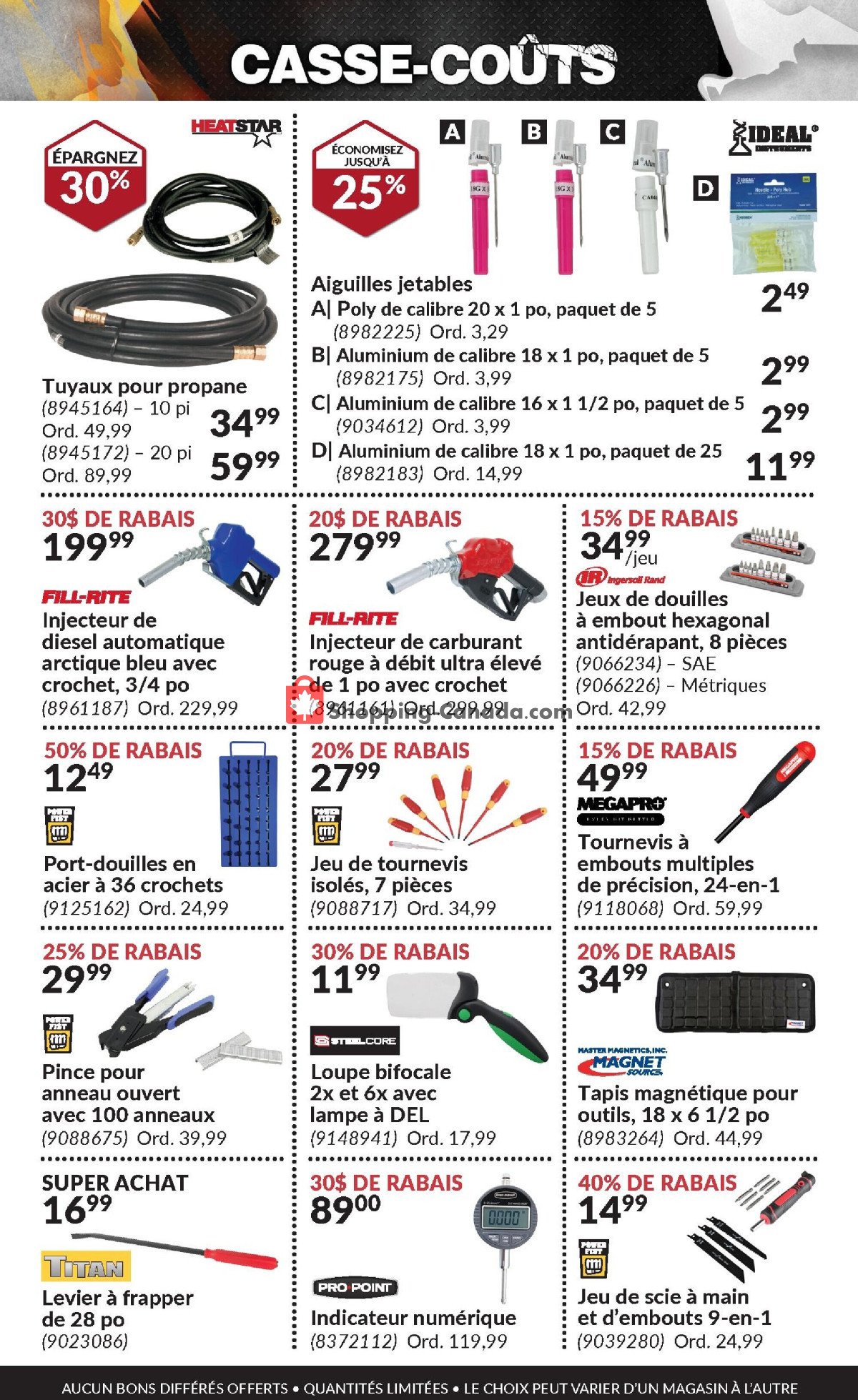 Princess Auto flyer from Thursday February 1, 2024 to Thursday February 29, 2024 - page 21