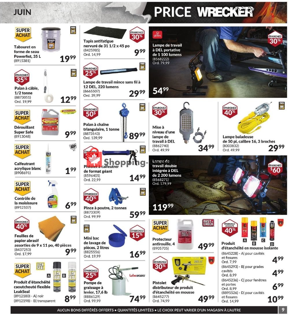 Princess Auto flyer from Monday June 1, 2020 to Tuesday June 30, 2020 - page 9