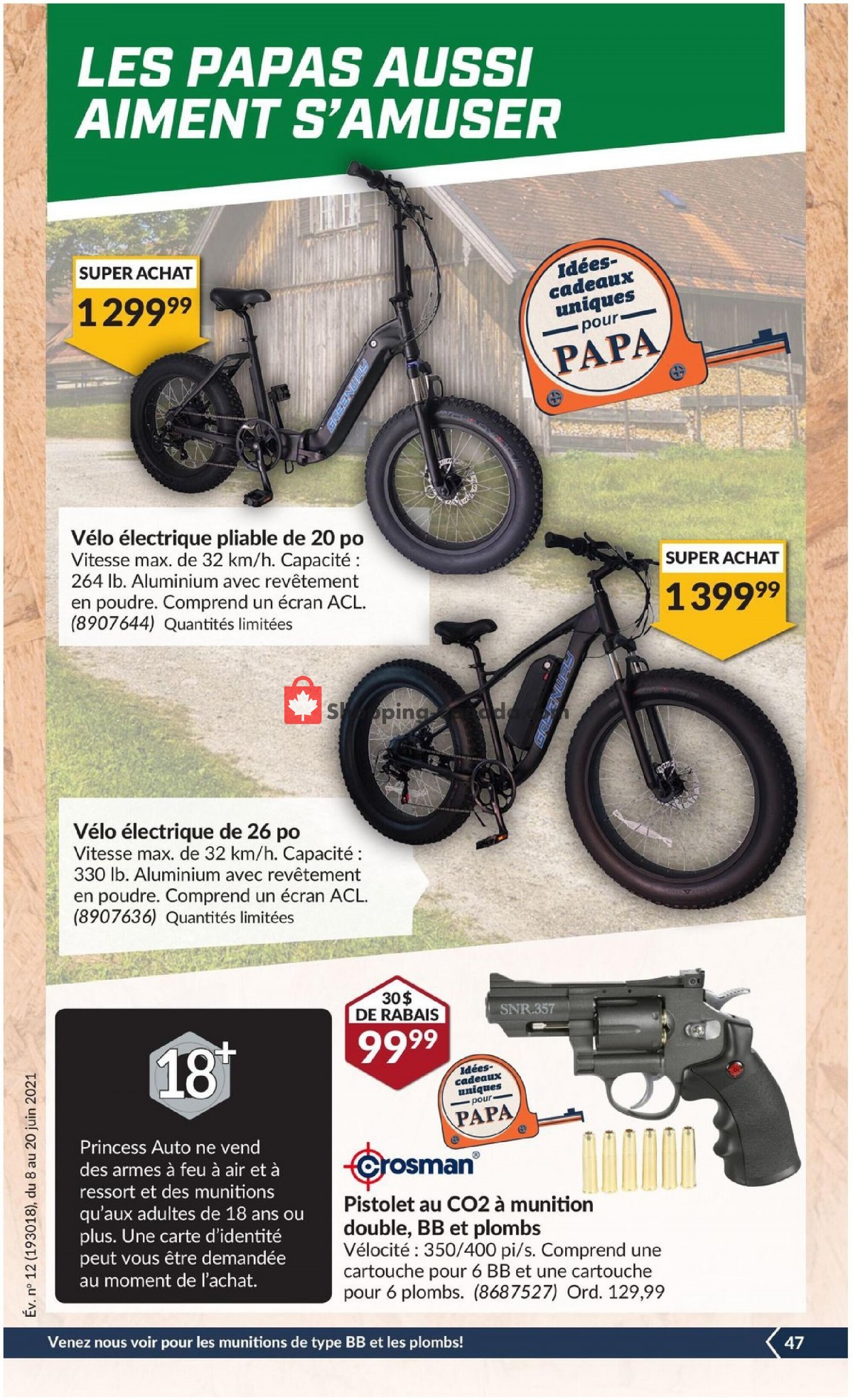 Princess Auto flyer from Tuesday June 8, 2021 to Sunday June 20, 2021 - page 51