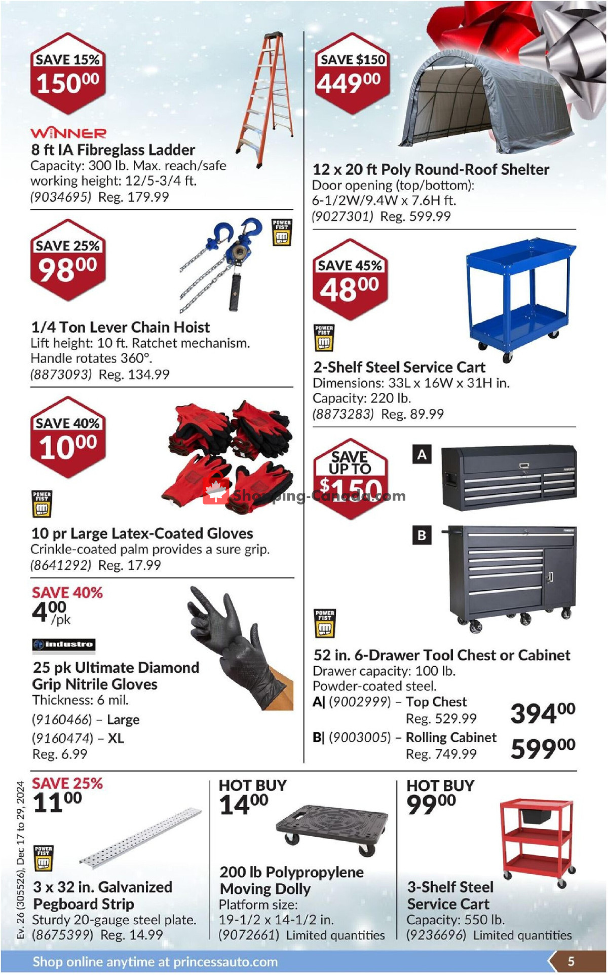 Princess Auto flyer from Tuesday December 17, 2024 to Sunday December 29, 2024 - page 10