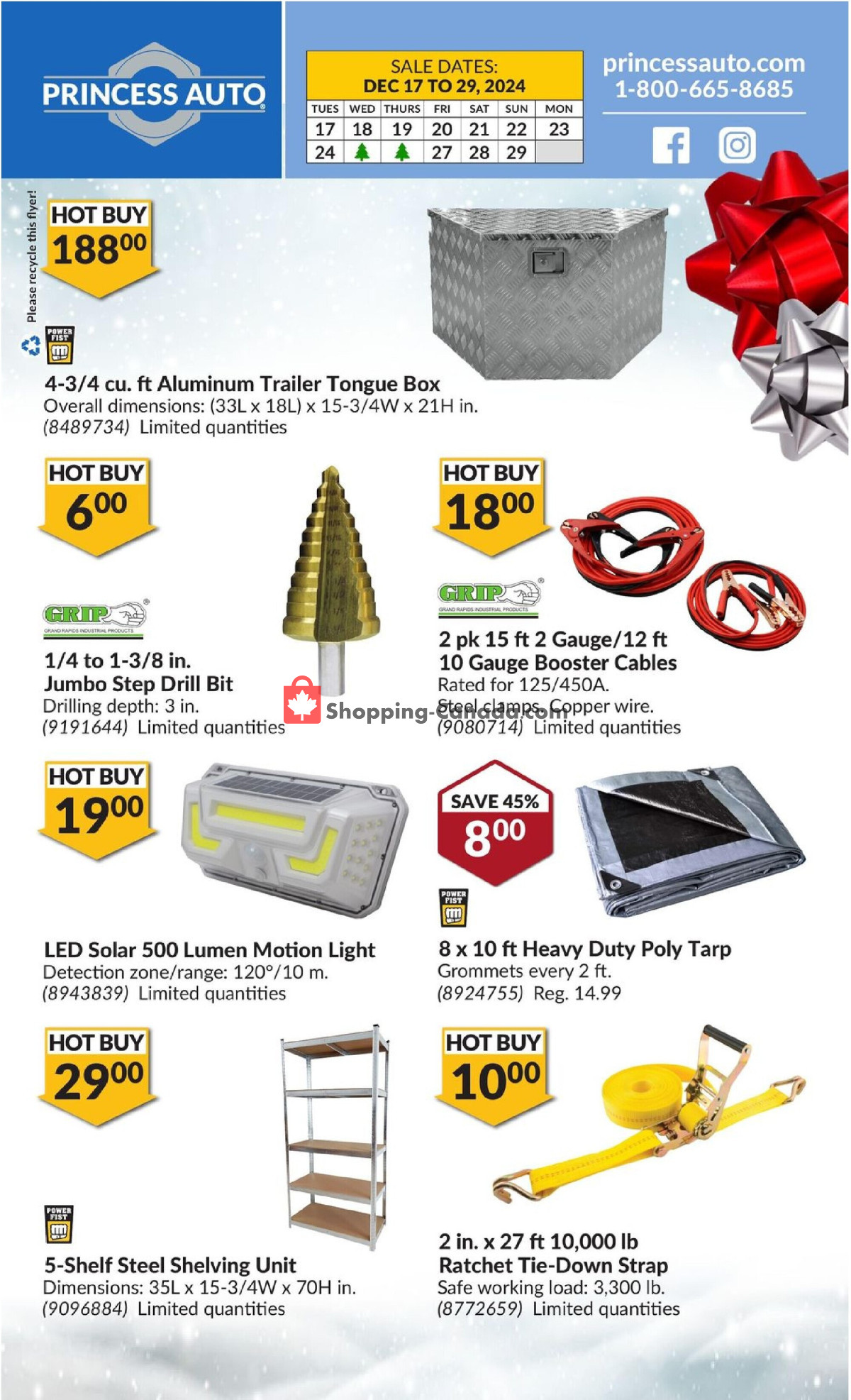 Princess Auto flyer from Tuesday December 17, 2024 to Sunday December 29, 2024 - page 2