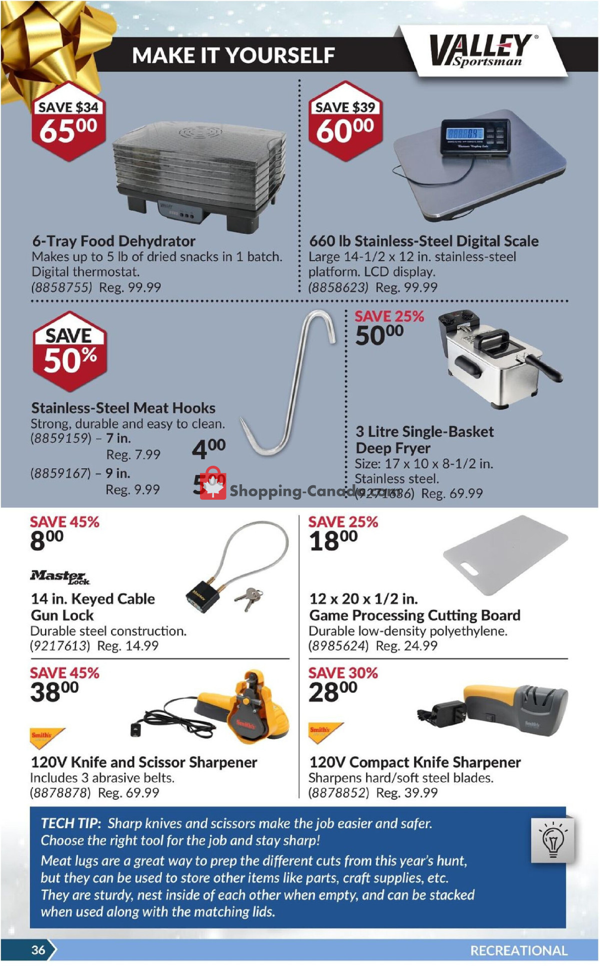 Princess Auto flyer from Tuesday December 17, 2024 to Sunday December 29, 2024 - page 41