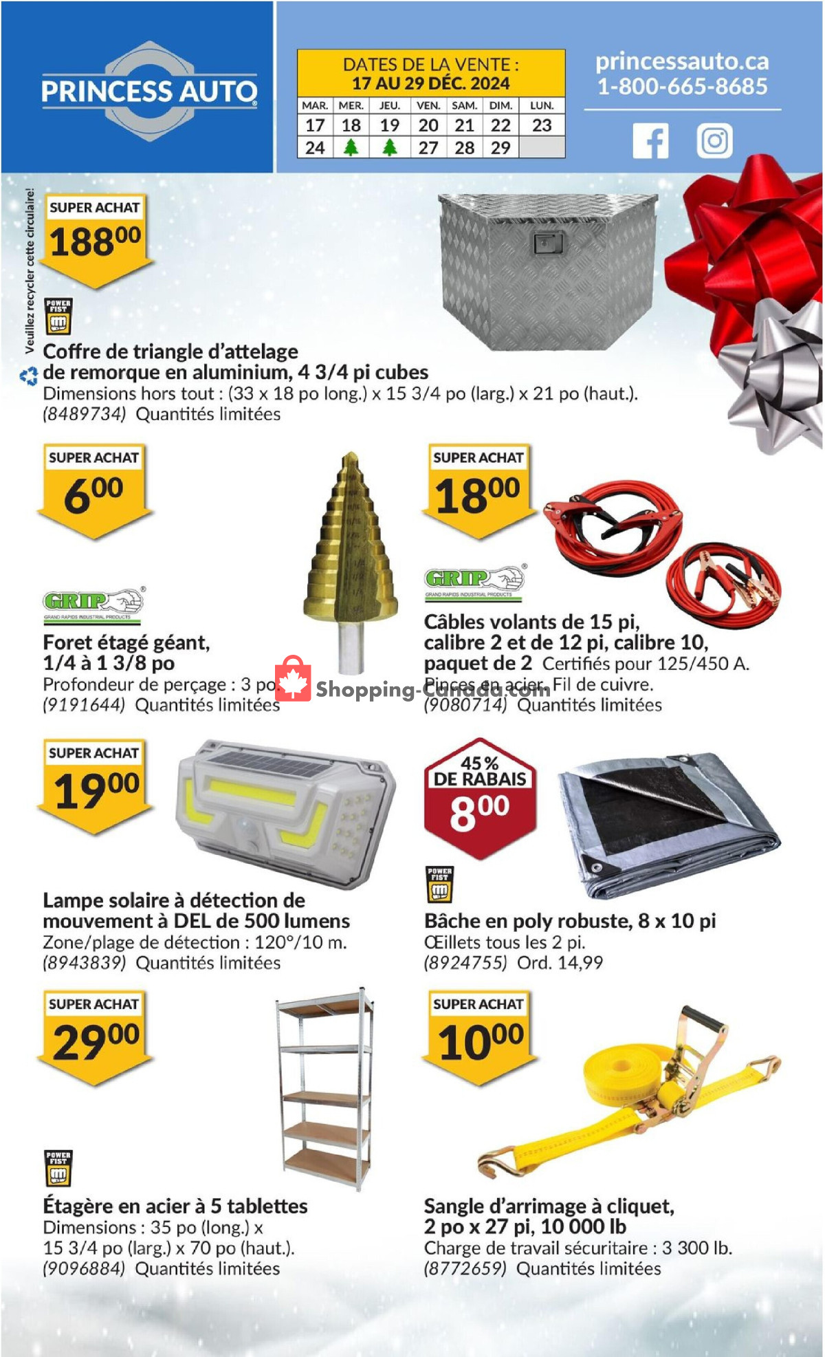 Princess Auto flyer from Tuesday December 17, 2024 to Sunday December 29, 2024 - page 2