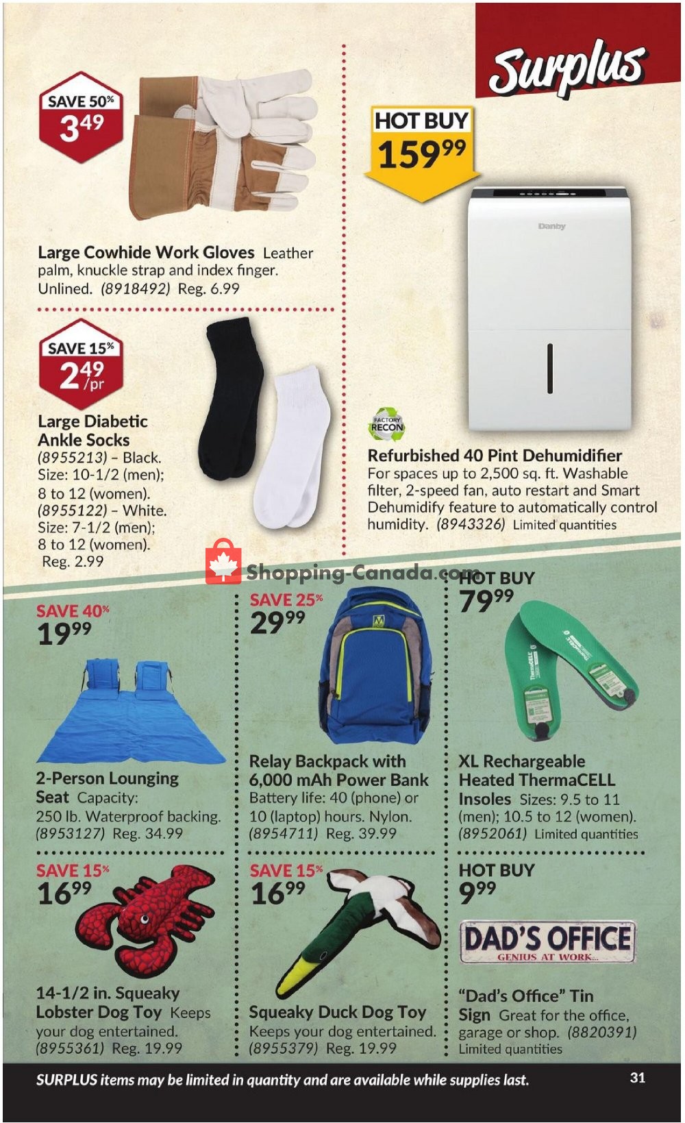 Princess Auto flyer from Tuesday September 29, 2020 to Wednesday November 11, 2020 - page 37