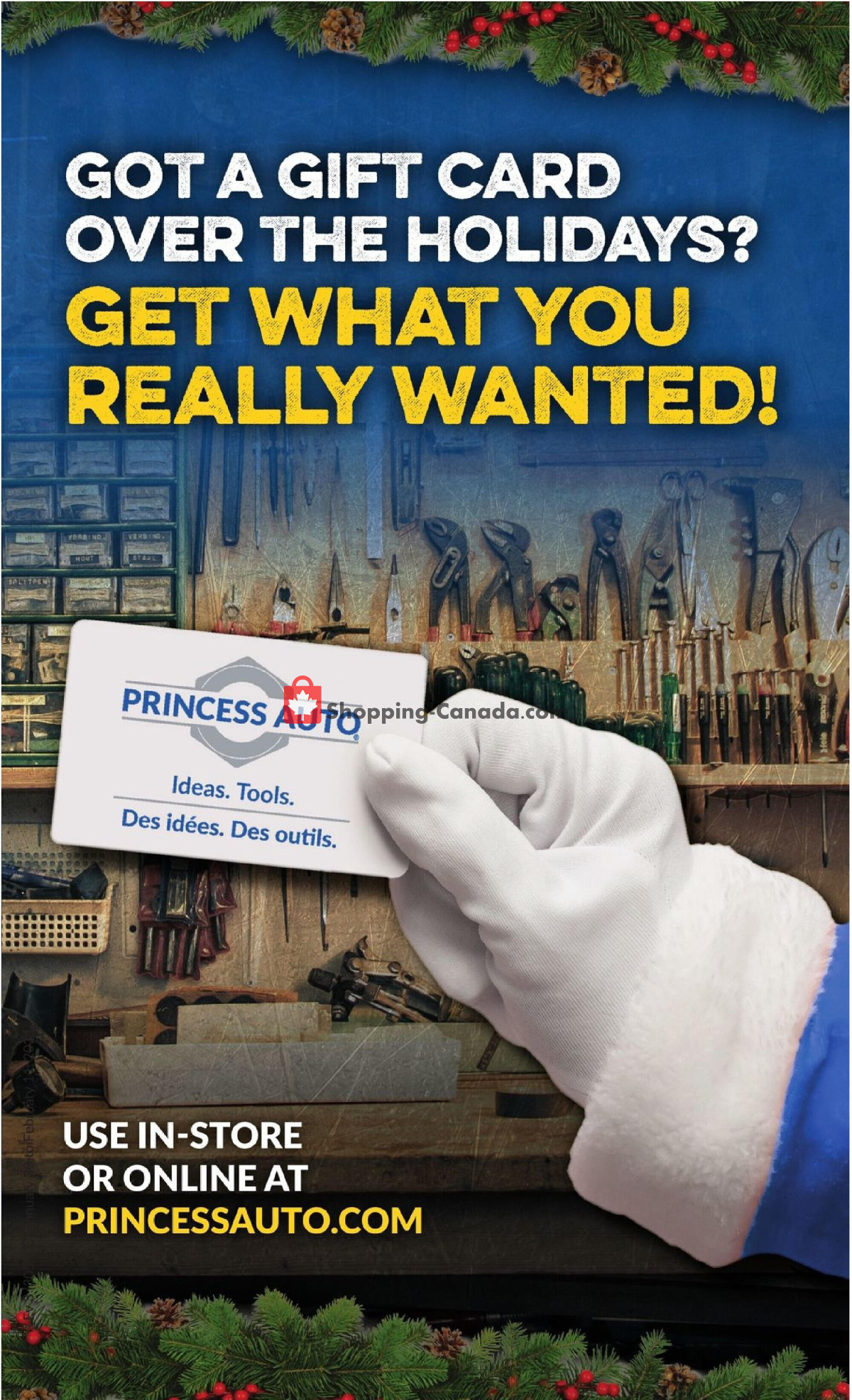 Princess Auto flyer from Tuesday January 30, 2024 to Sunday February 11, 2024 - page 20