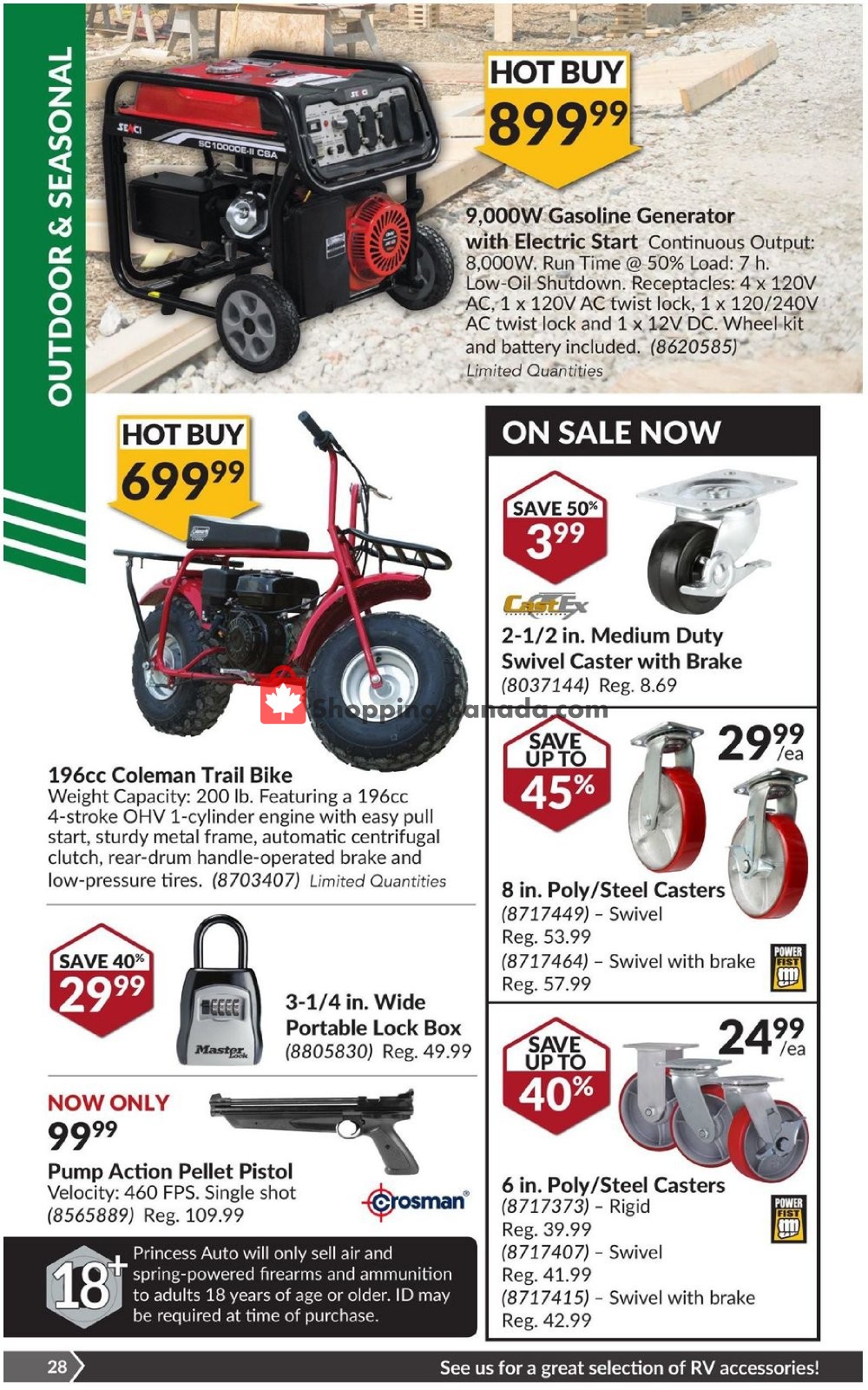 Princess Auto flyer from Tuesday March 5, 2019 to Sunday March 17, 2019 - page 29