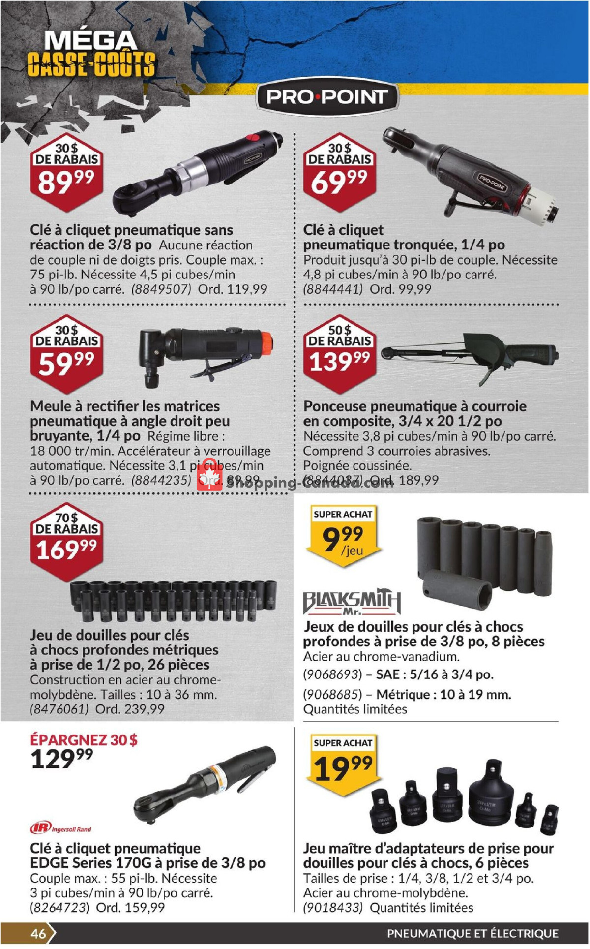 Princess Auto flyer from Tuesday March 12, 2024 to Sunday March 24, 2024 - page 51