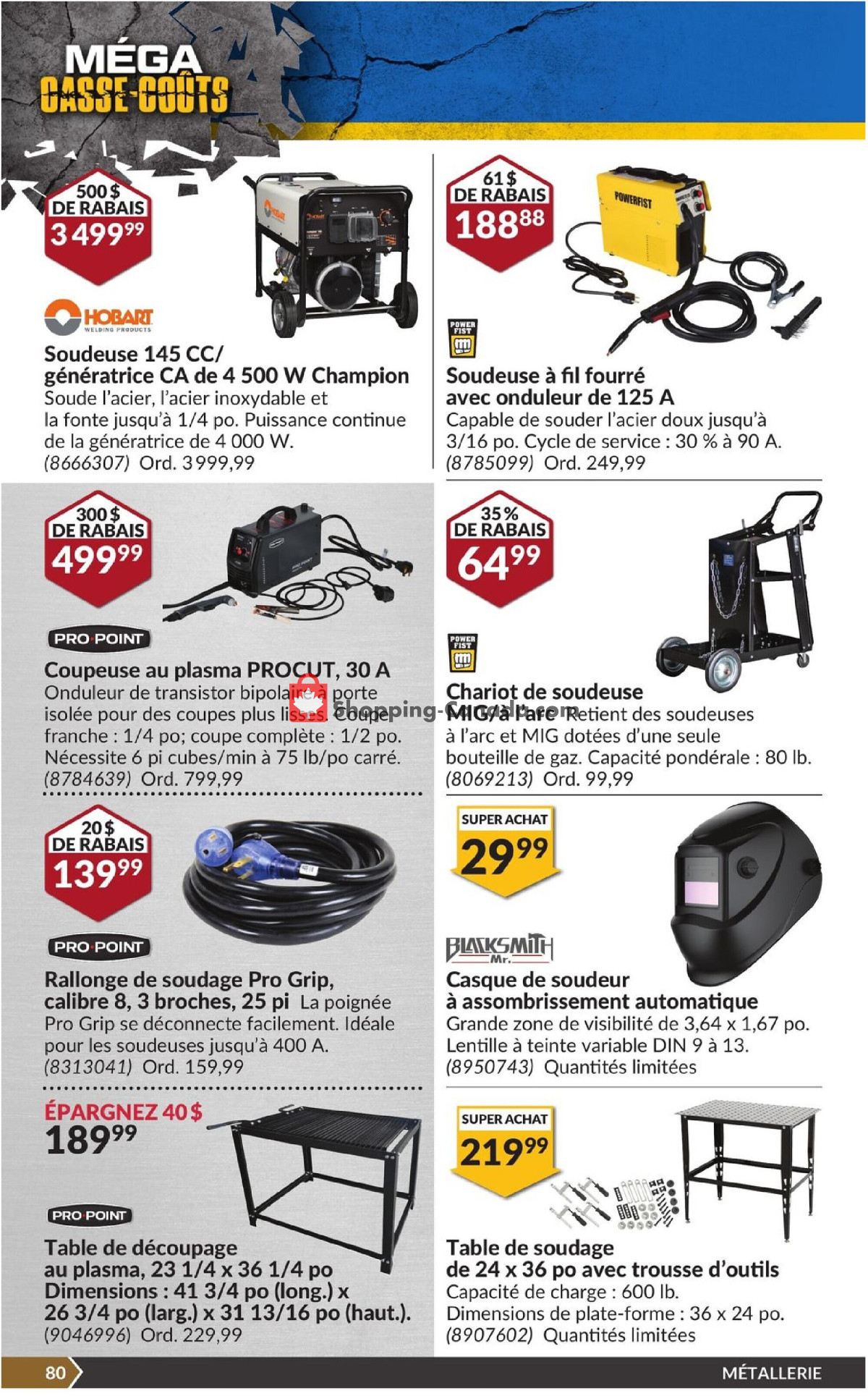 Princess Auto flyer from Tuesday March 12, 2024 to Sunday March 24, 2024 - page 85