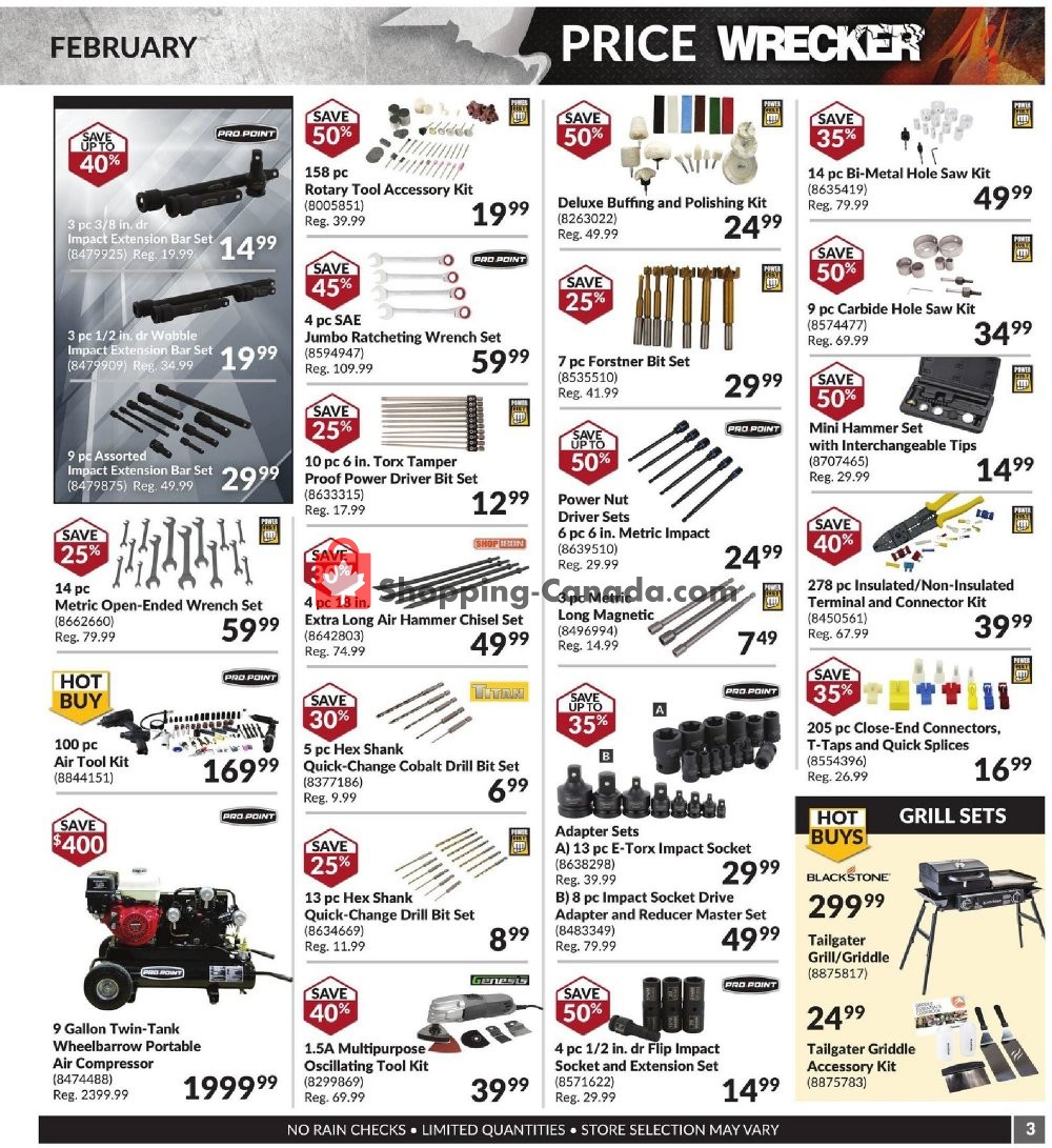 Princess Auto flyer from Saturday February 1, 2020 to Saturday February 29, 2020 - page 3