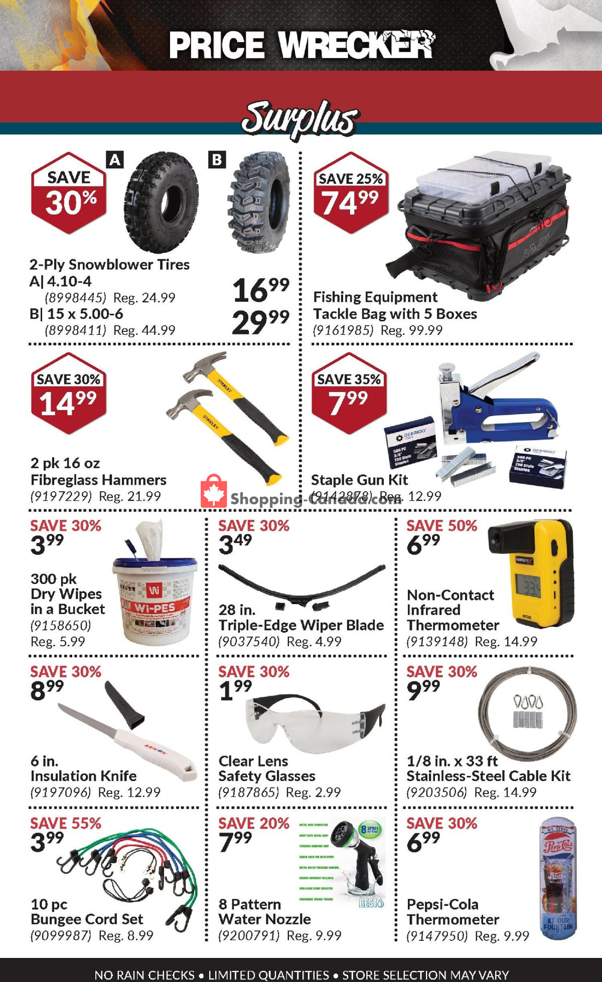 Princess Auto flyer from Thursday February 1, 2024 to Thursday February 29, 2024 - page 19