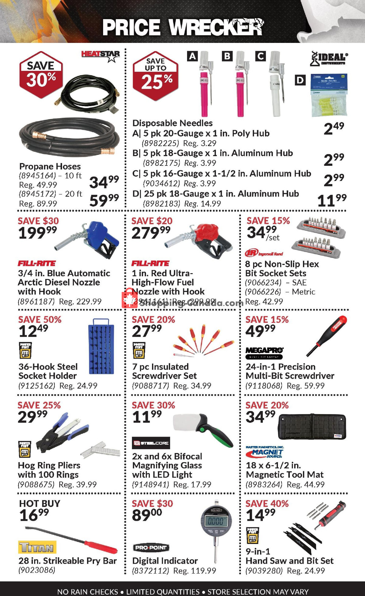 Princess Auto flyer from Thursday February 1, 2024 to Thursday February 29, 2024 - page 21