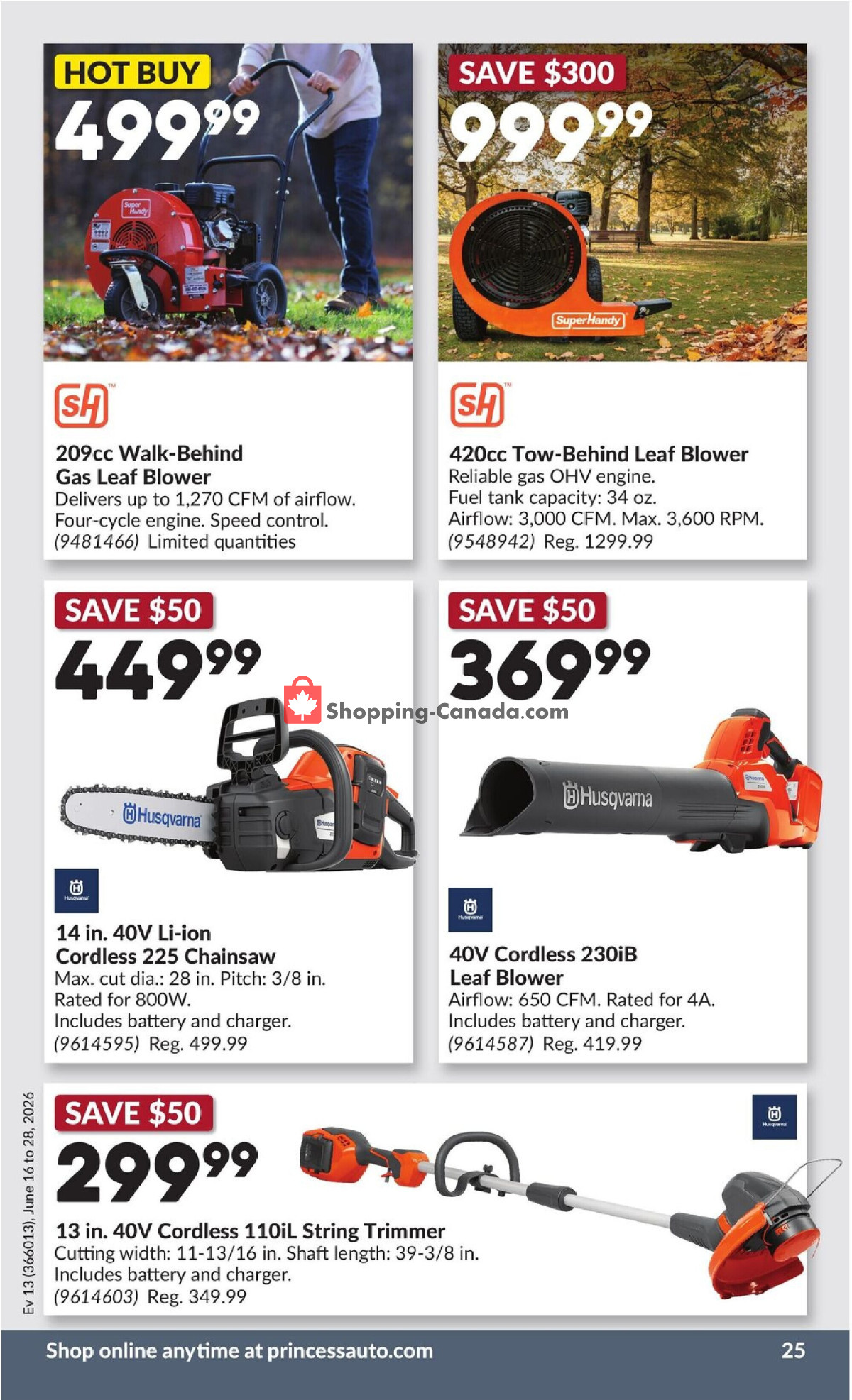 Princess Auto flyer from Tuesday June 16, 2026 to Sunday June 28, 2026 - page 29
