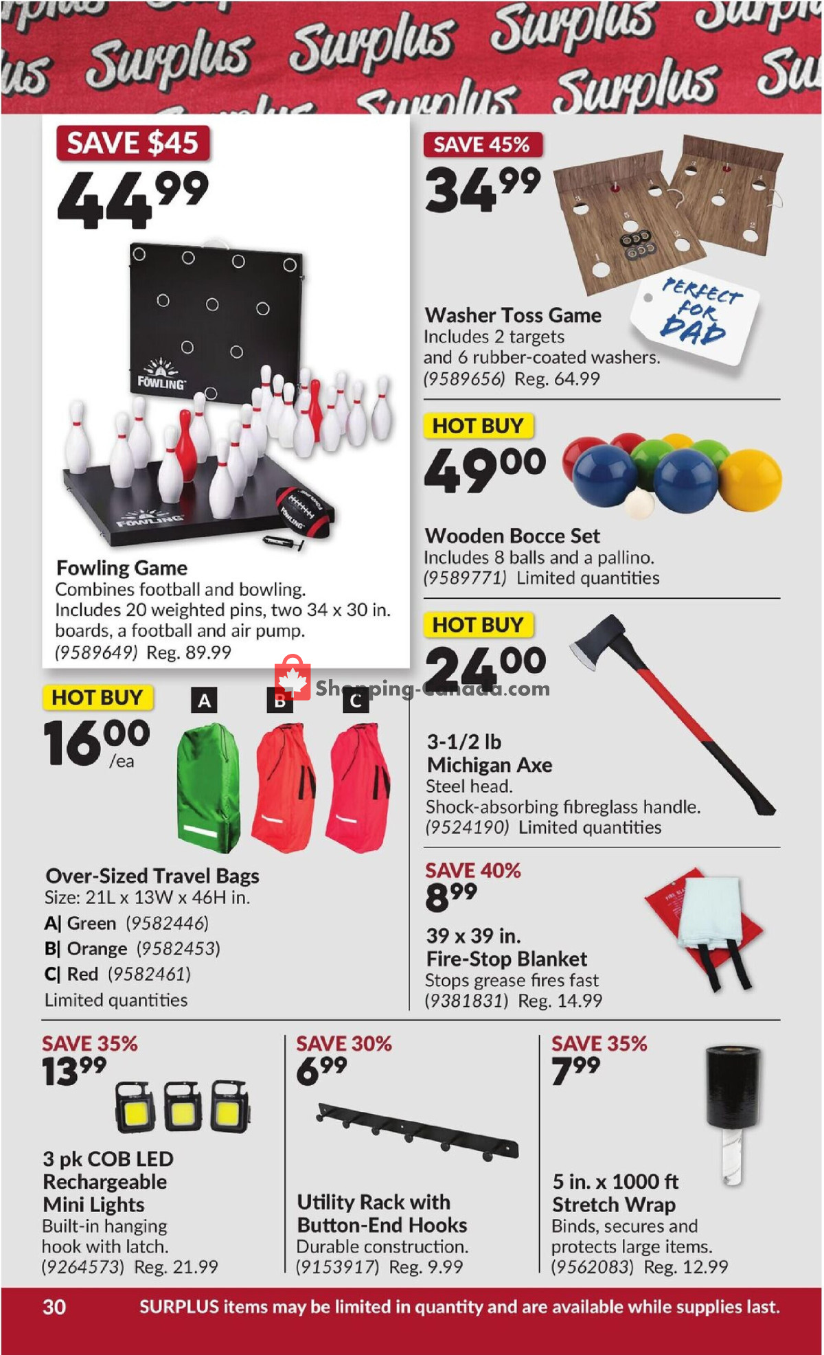 Princess Auto flyer from Tuesday June 16, 2026 to Sunday June 28, 2026 - page 34