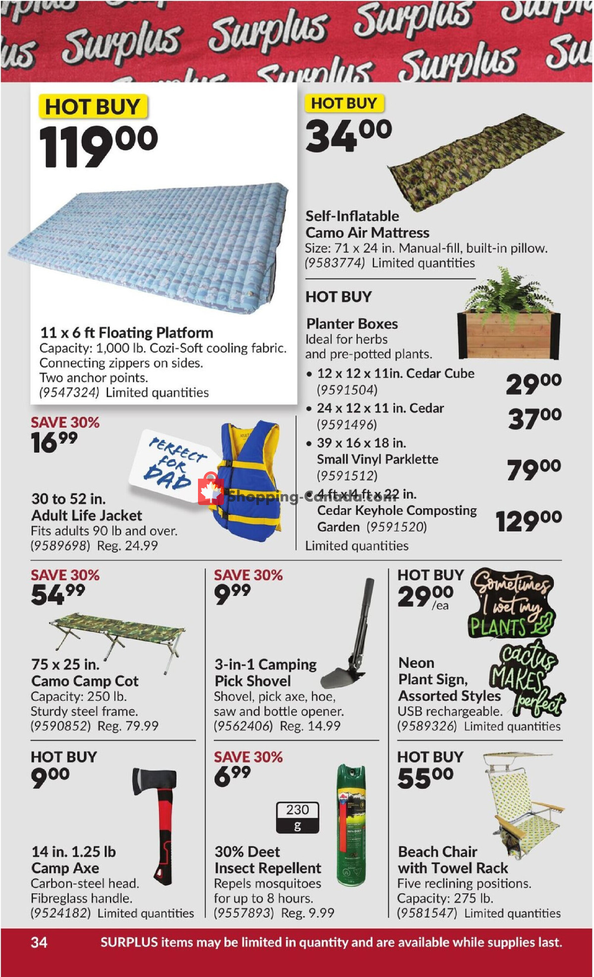Princess Auto flyer from Tuesday June 16, 2026 to Sunday June 28, 2026 - page 38