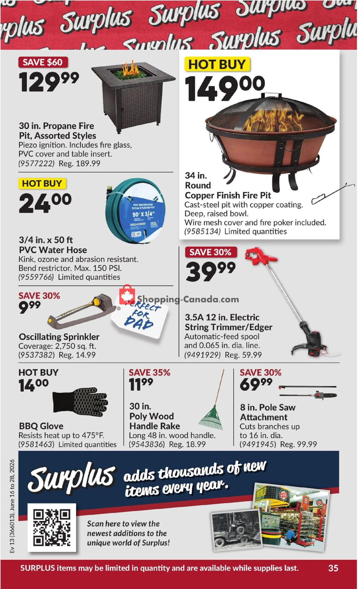 Princess Auto flyer from Tuesday June 16, 2026 to Sunday June 28, 2026 - page 39