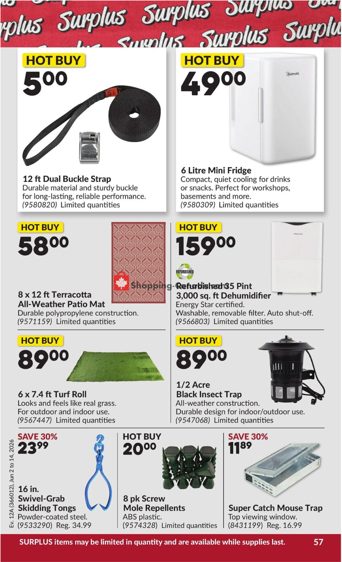 Princess Auto flyer from Tuesday June 2, 2026 to Sunday June 14, 2026 - page 58