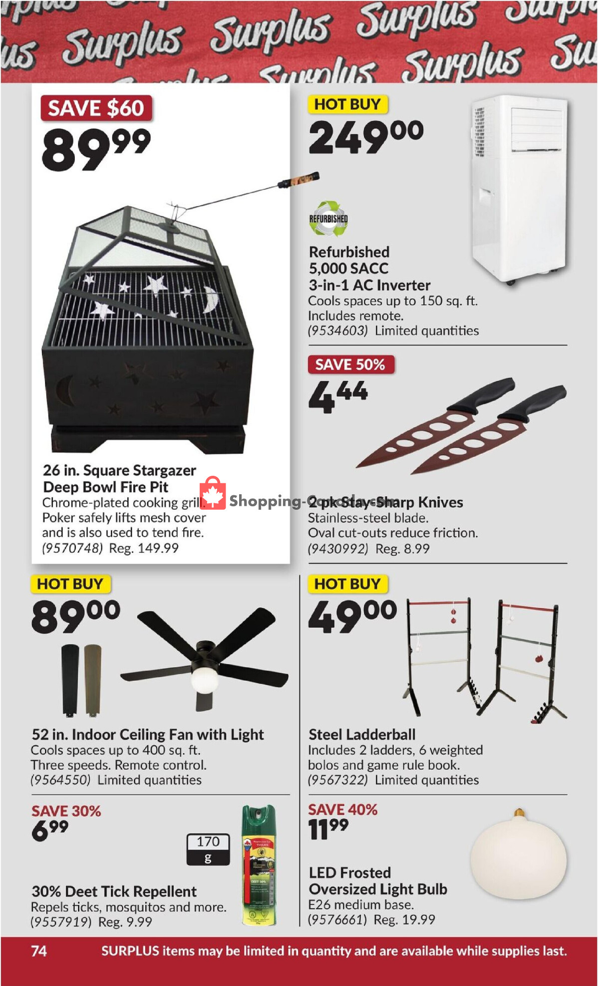 Princess Auto flyer from Tuesday May 19, 2026 to Sunday May 31, 2026 - page 80