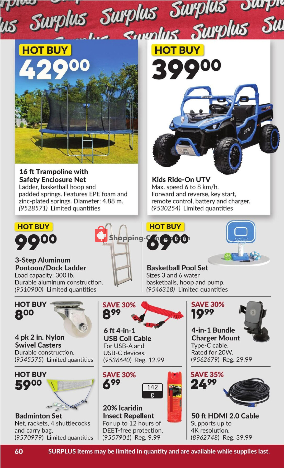 Princess Auto flyer from Tuesday May 5, 2026 to Sunday May 17, 2026 - page 66