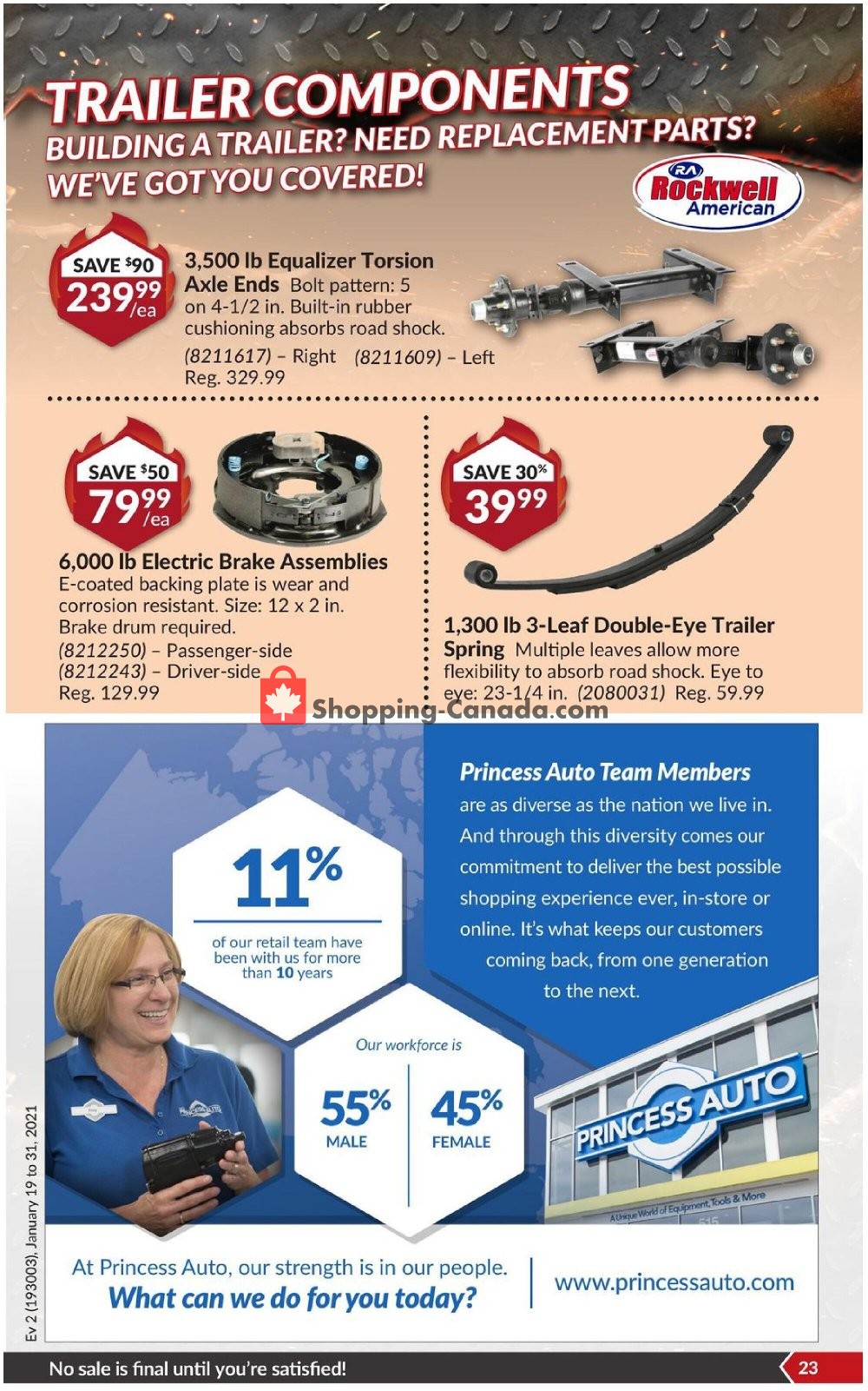 Princess Auto flyer from Tuesday January 19, 2021 to Sunday January 31, 2021 - page 29